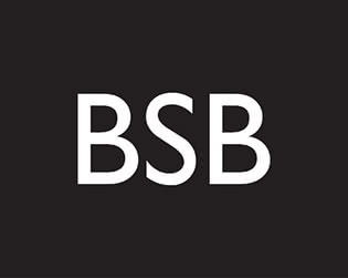 Платья оптом Bsb collection